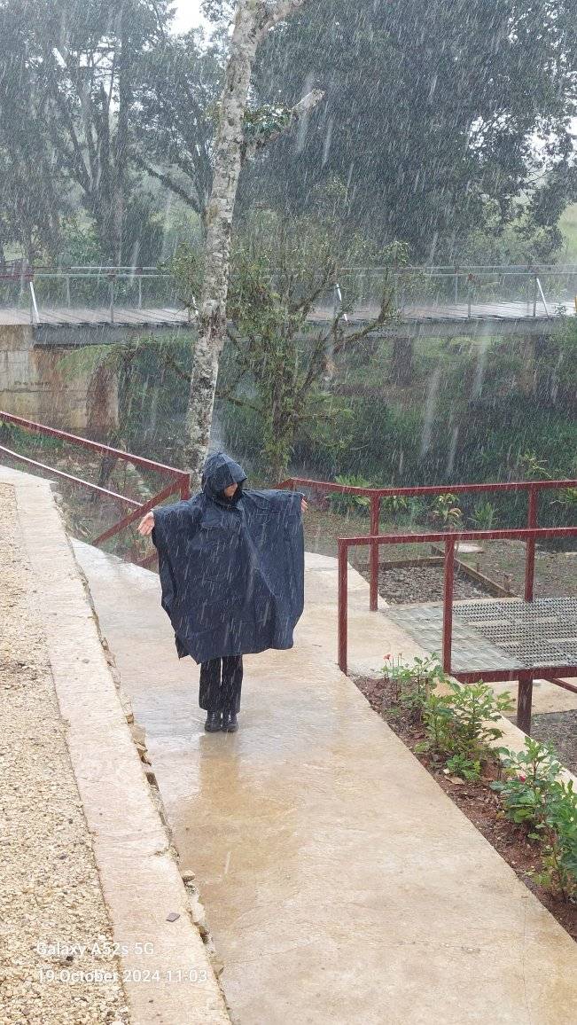 Chinese visitors (3)